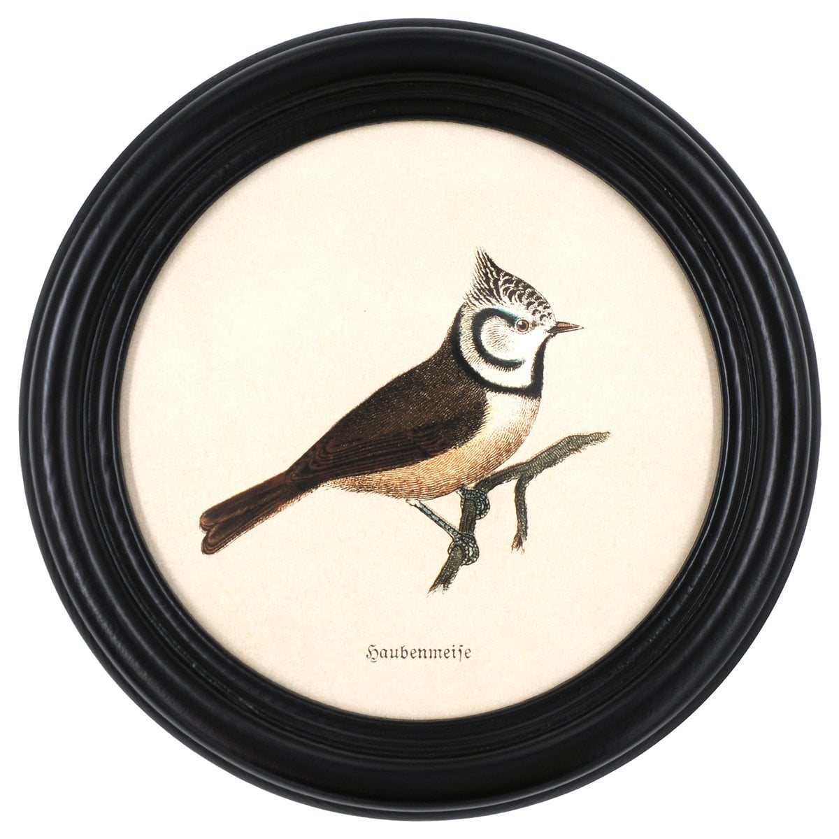 Crested Tit in a Wooden Round Frame