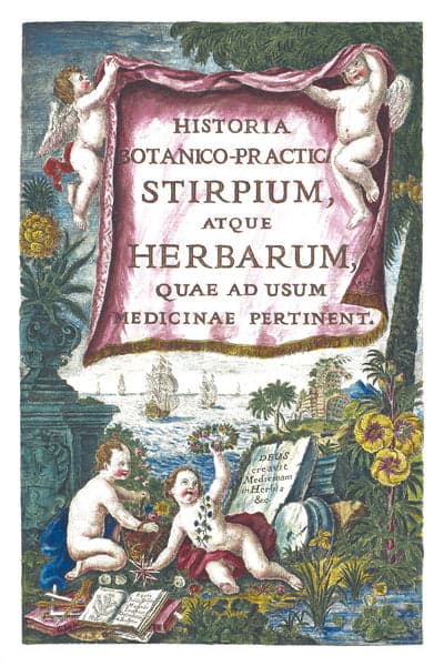 Historia Botanica Practica – 1744 rare book