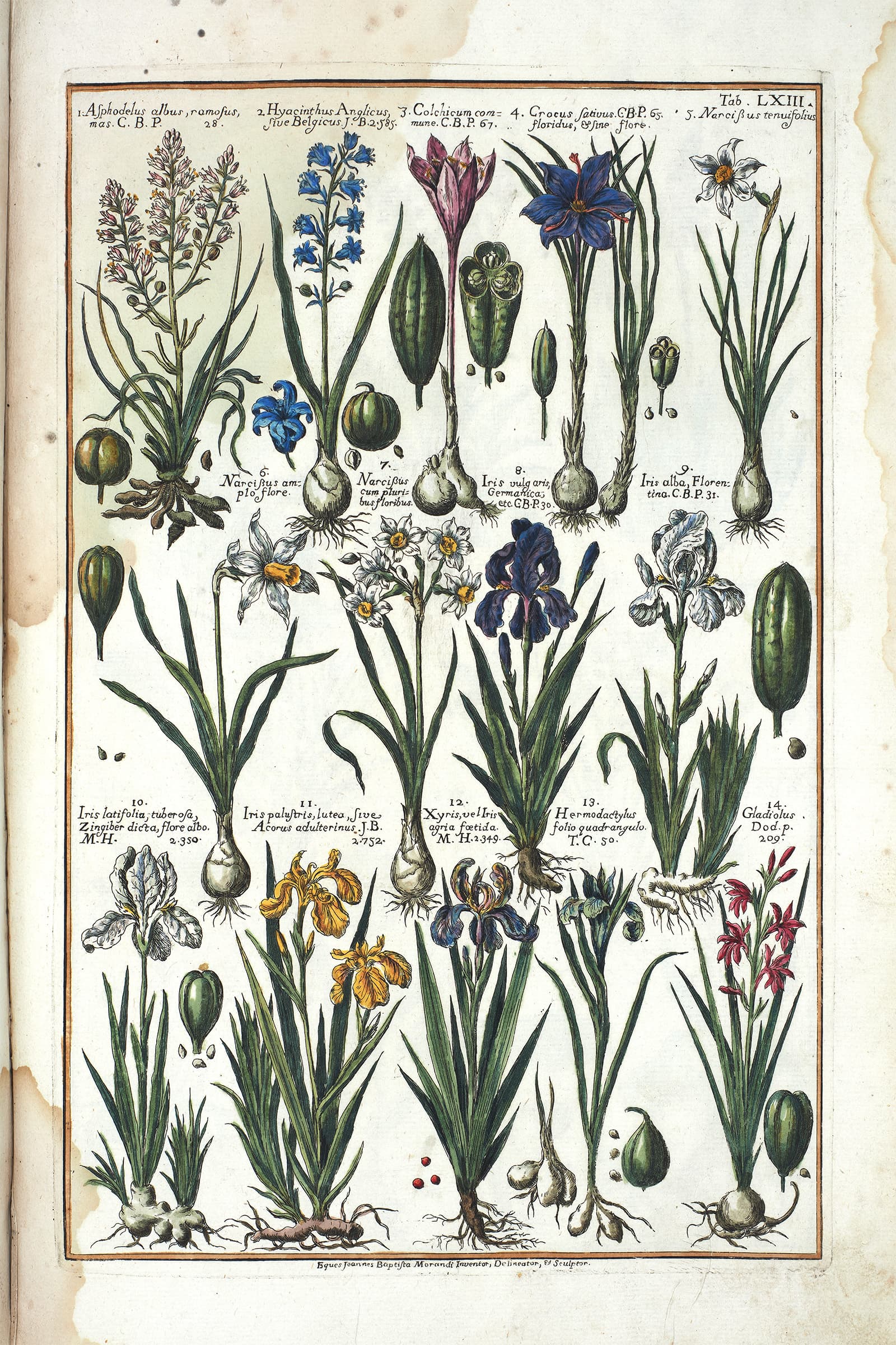 Przykład cyfrowej renowacji ryciny — oryginał przed pracą
