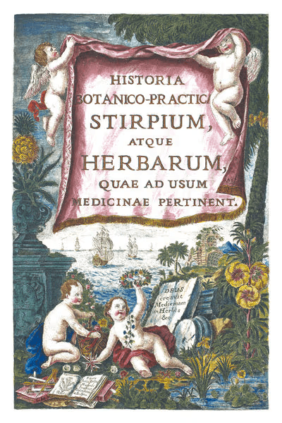 Historia Botanica Practica
