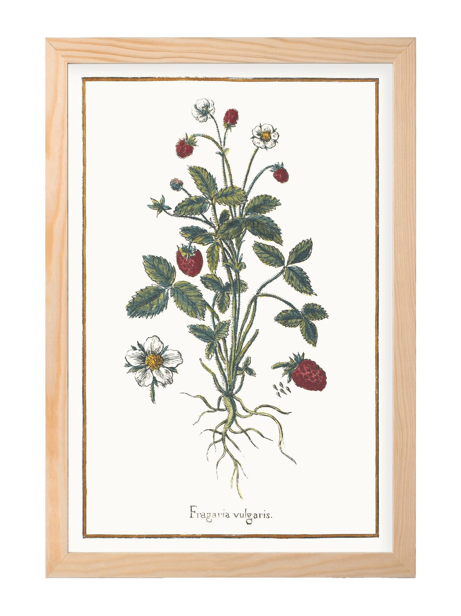 Small Pine Frame