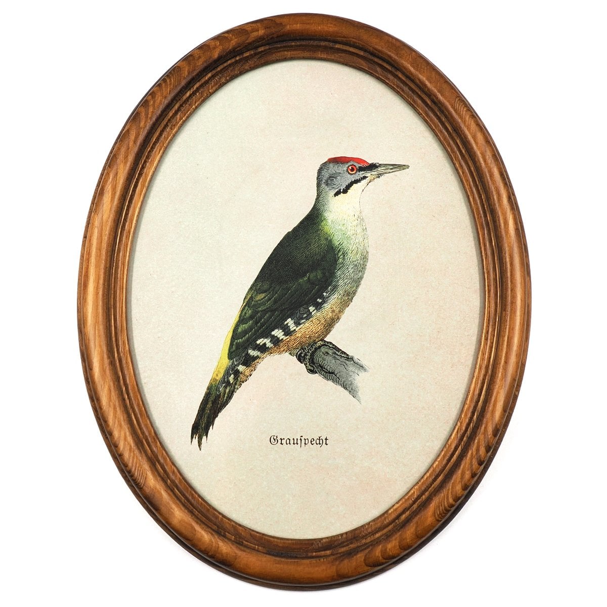 Woodpecker in Wooden Oval Frame