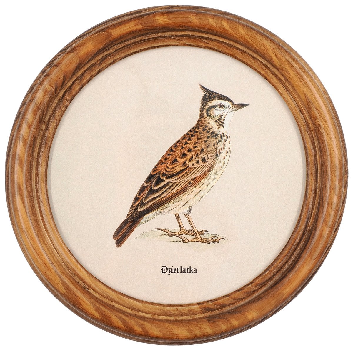 Lark in a Wooden Round Frame