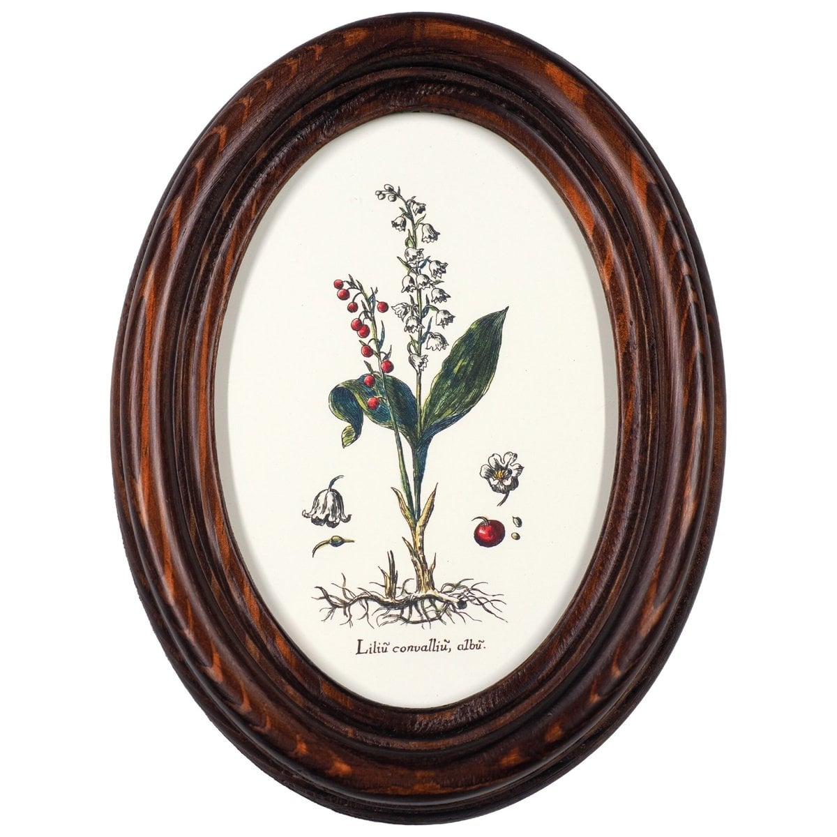 Lily of the Valley in Wooden Oval Frame