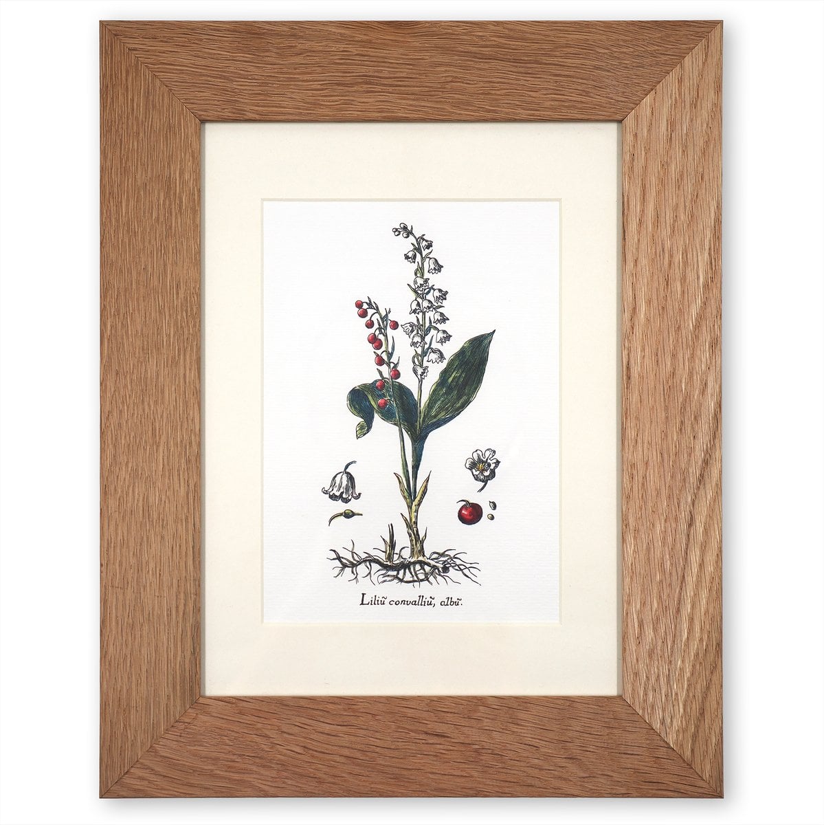 Lily of the Valley in Wooden Frame