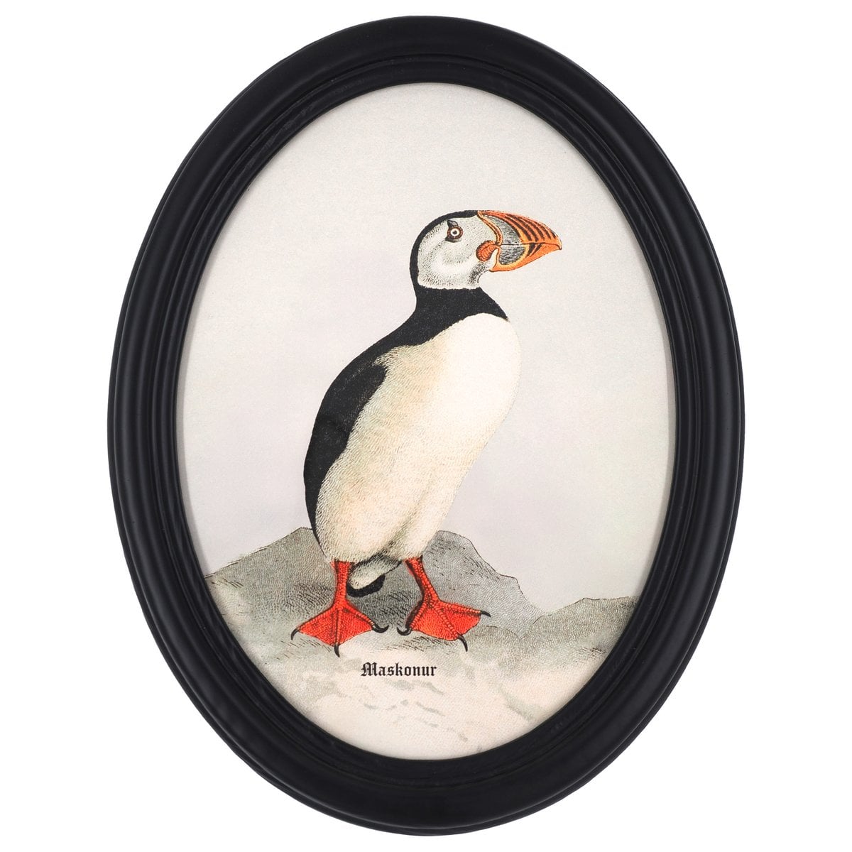 Puffin in Wooden Oval Frame
