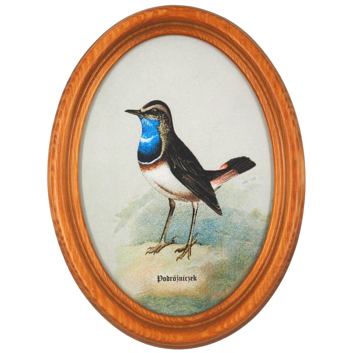 Bluethroat in Wooden Oval Frame