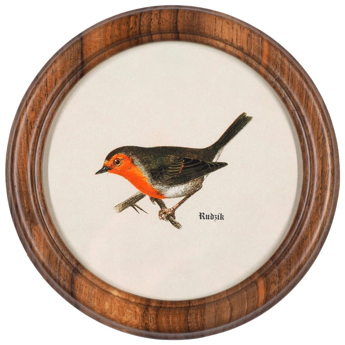 Robin in a Wooden Round Frame
