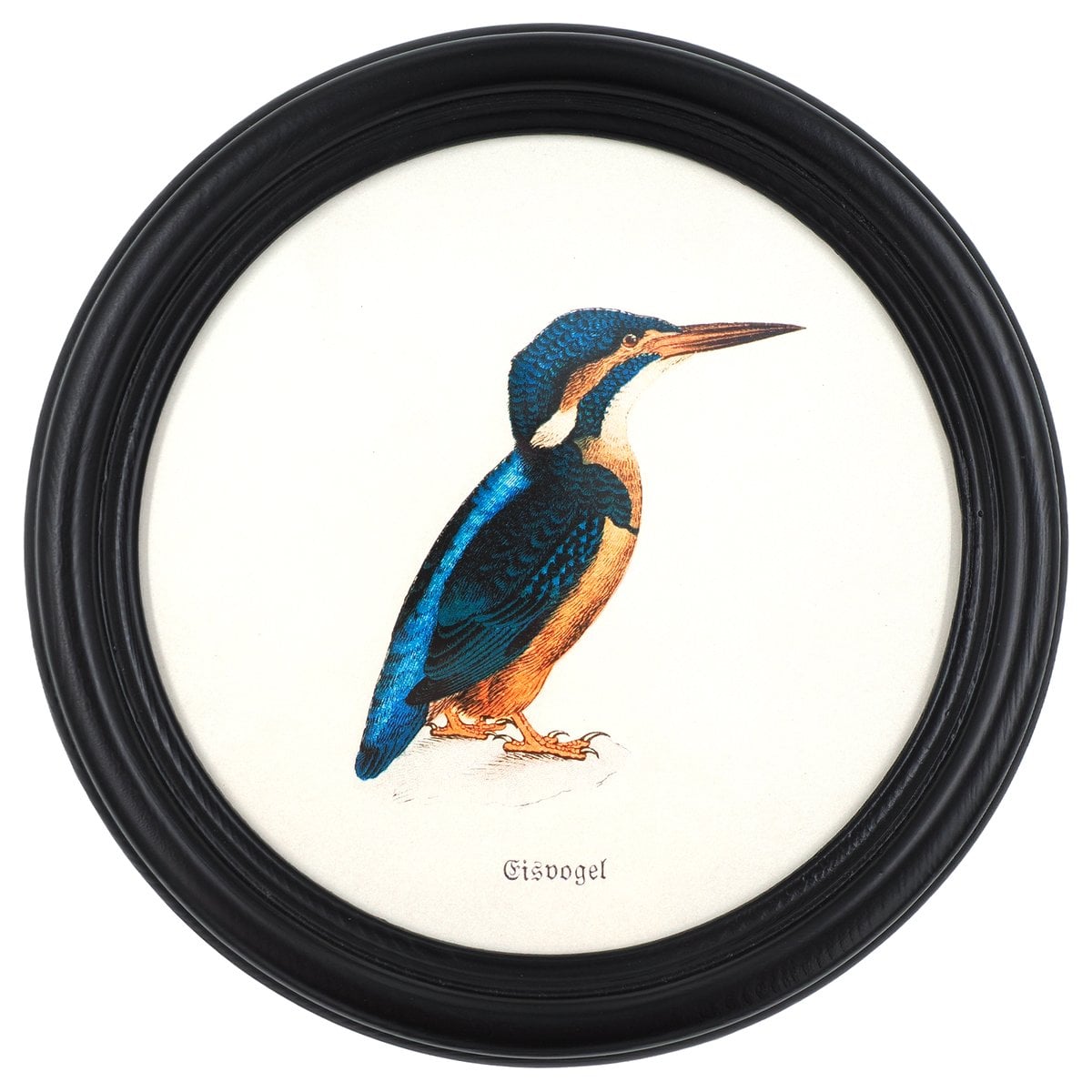 Kingfisher in a Wooden Round Frame