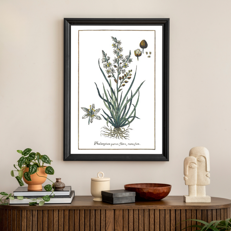 Lily spider web poster