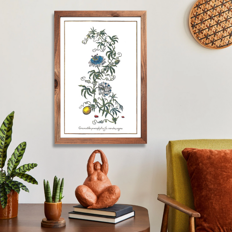 Passion fruit poster