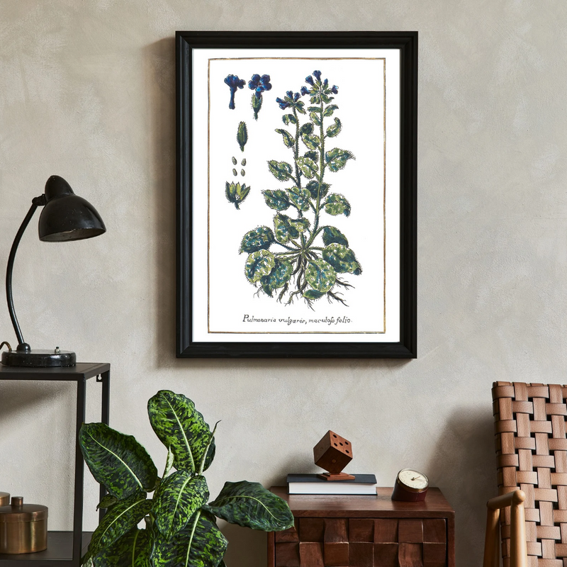 Lungwort poster